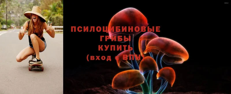 Галлюциногенные грибы MAGIC MUSHROOMS Шумерля